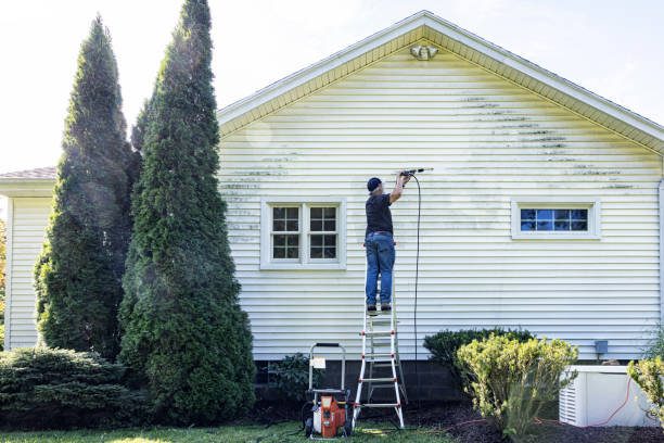 Best Driveway Cleaning and Restoration in Winona, MN